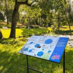 В Александрии открывается новый парк