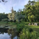 Александрия: запуск программы по озеленению города