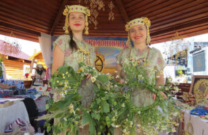 Новости Александрии: обновления и статистика