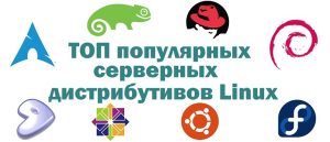 Обзор популярных дистрибутивов Linux для серверного администрирования